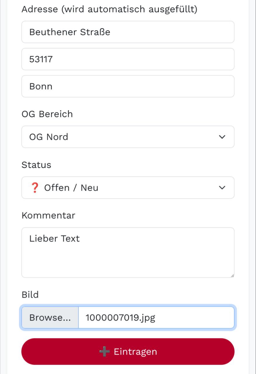 Formular Screenshot 2